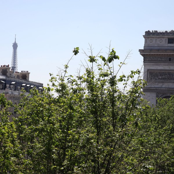 The Hotel: Elysées Hotel Paris